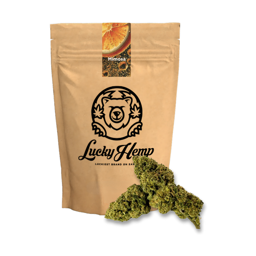 Mimosa Ökopack - Lucky Hemp