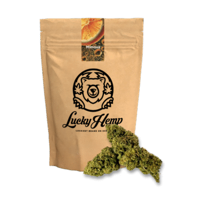 Mimosa Ökopack - Lucky Hemp