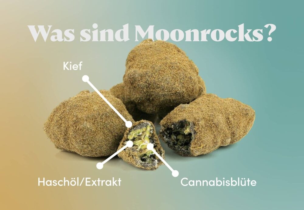Moonrock sind Cannabisblüten, die in Haschischöl getaucht und in Kief gerollt werden.