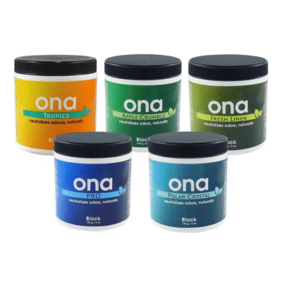 ONA Block - Hanfgarten