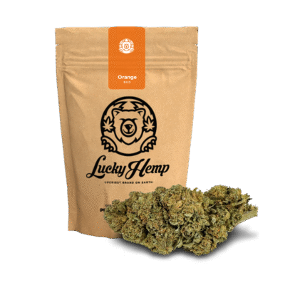 Orange Bud Ökopack - Lucky Hemp