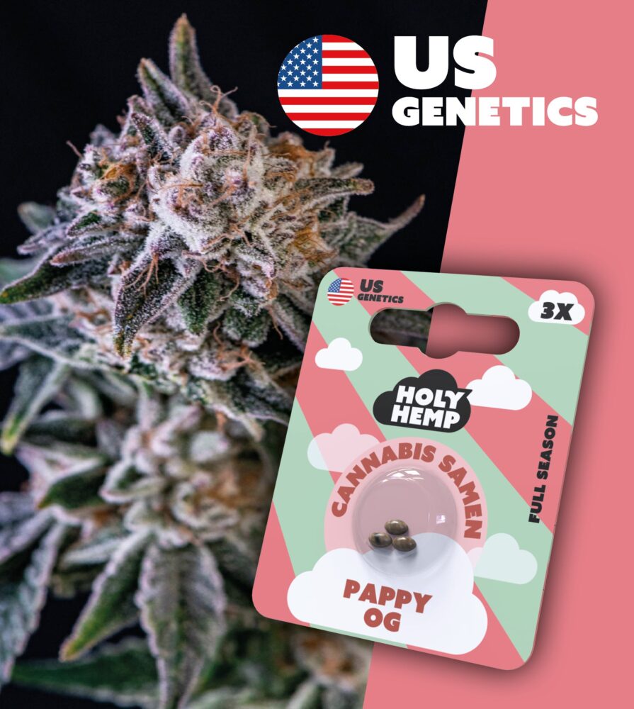 Pappy OG Cali Seeds - Holy Hemp
