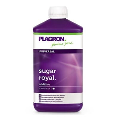 Plagron Sugar Royal - Hanfgarten