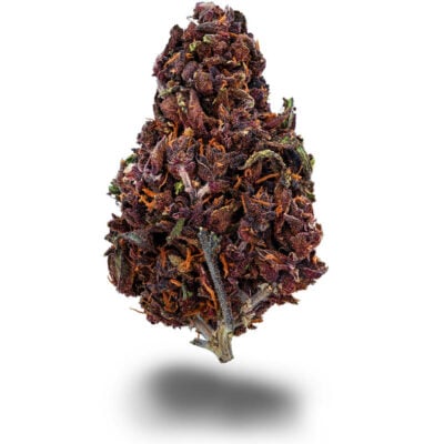 Purple Haze - CBDIA
