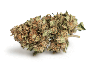 Reeperbahn Rose CBD Blüten Indoor - CBD040
