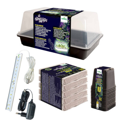 Romberg Homegrow Basic Starter Box Anzuchtset - Grow Guru