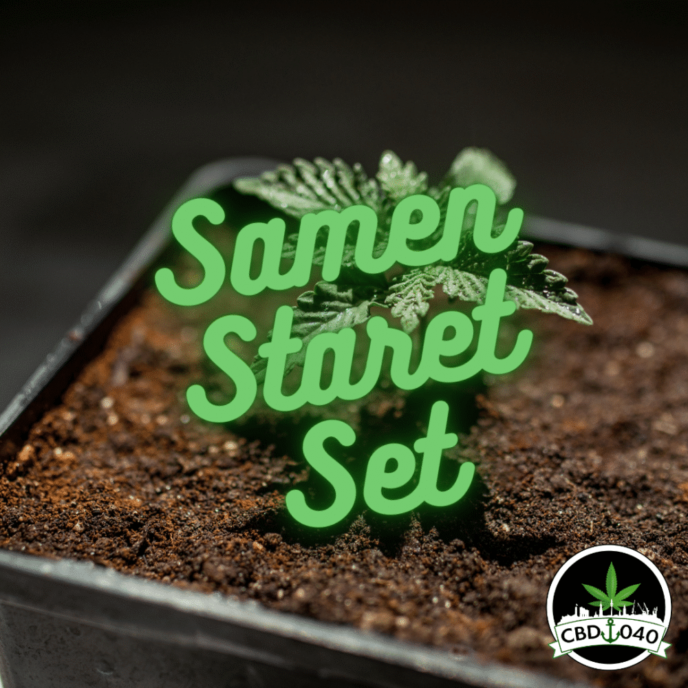 Samen Bundle Starter-Set für den Eigenanbau mit 5 Verschiedene Sorten 11 Samen - CBD040