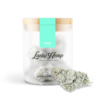 Snow Haze 50% CBD Glas - Lucky Hemp