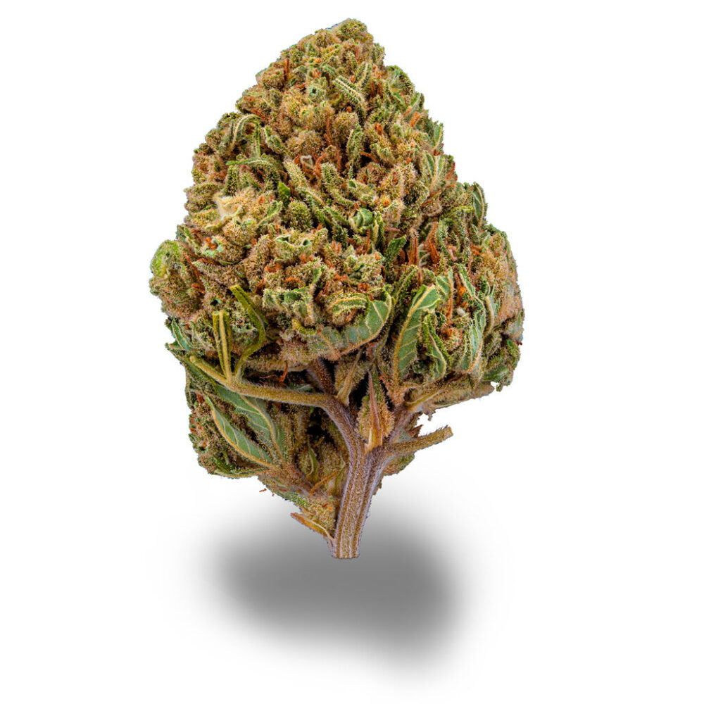 Sour Diesel - CBDIA