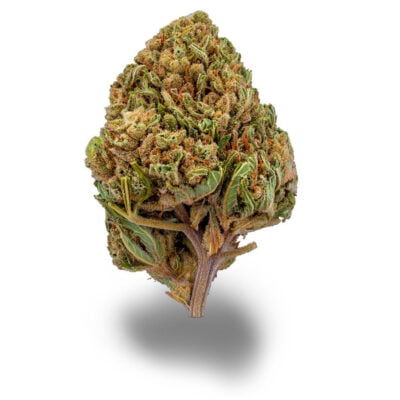 Sour Diesel - CBDIA