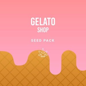 The Gelato Pack - Royal Queen Seeds