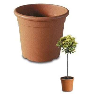 Topf Athena Rund Terracotta D:30cm 18L - Happy Grow