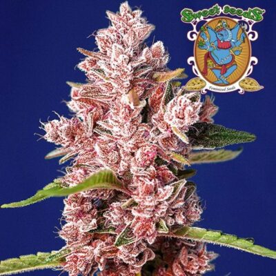 Tropicanna Poison XL - CBDNOL