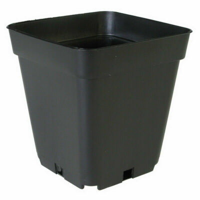 Vierecktopf aus Kunststoff 11x11x12cm  11L - Grow Guru