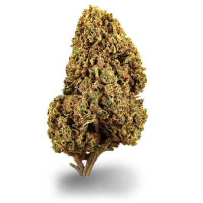 White Widow - CBDIA