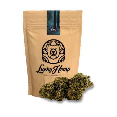 White Widow Öko Ökopack - Lucky Hemp