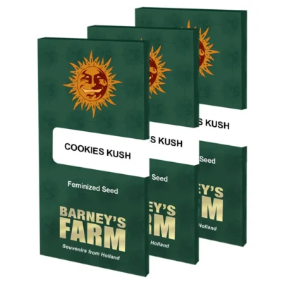 Barneys Farm Cookies Kush 3 Stück - Hanfjack
