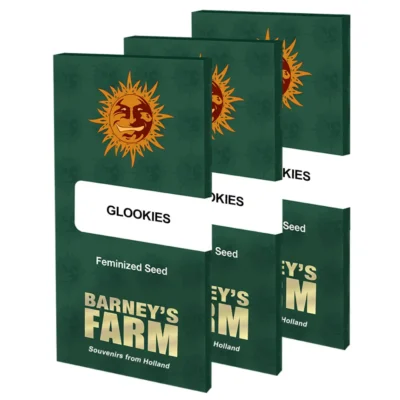 Barneys Farm Glookies 1 Stück - Hanfjack
