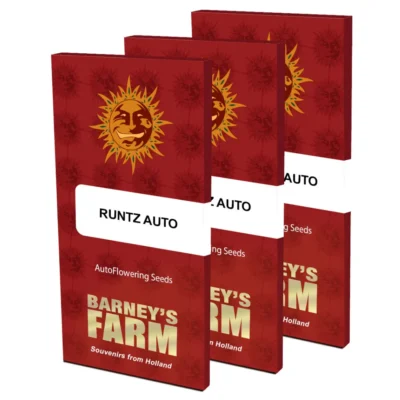 Barneys Farm Runtz Auto 1 Stück - Hanfjack