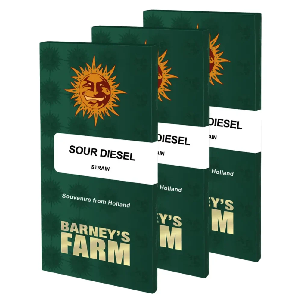 Barneys Farm Sour Diesel 1 Stück - Hanfjack