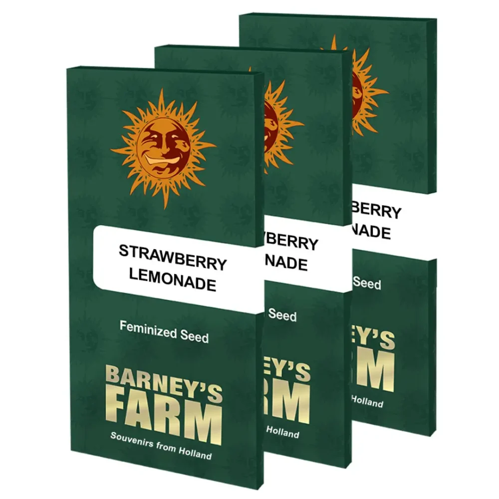 Barneys Farm Strawberry Lemonade 1 Stück - Hanfjack