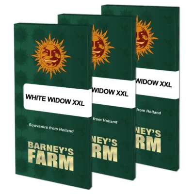 Barneys Farm White Widow XXL 1 Stück - Hanfjack