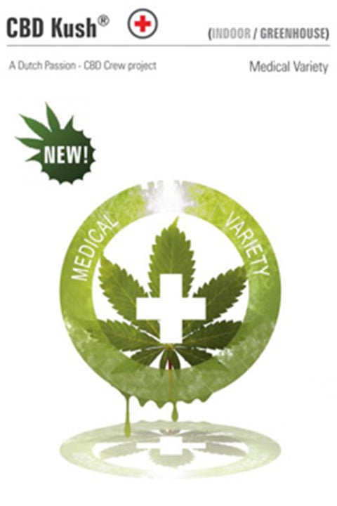 CBD Kush feminisiert 5 Stück - Bushdoctor