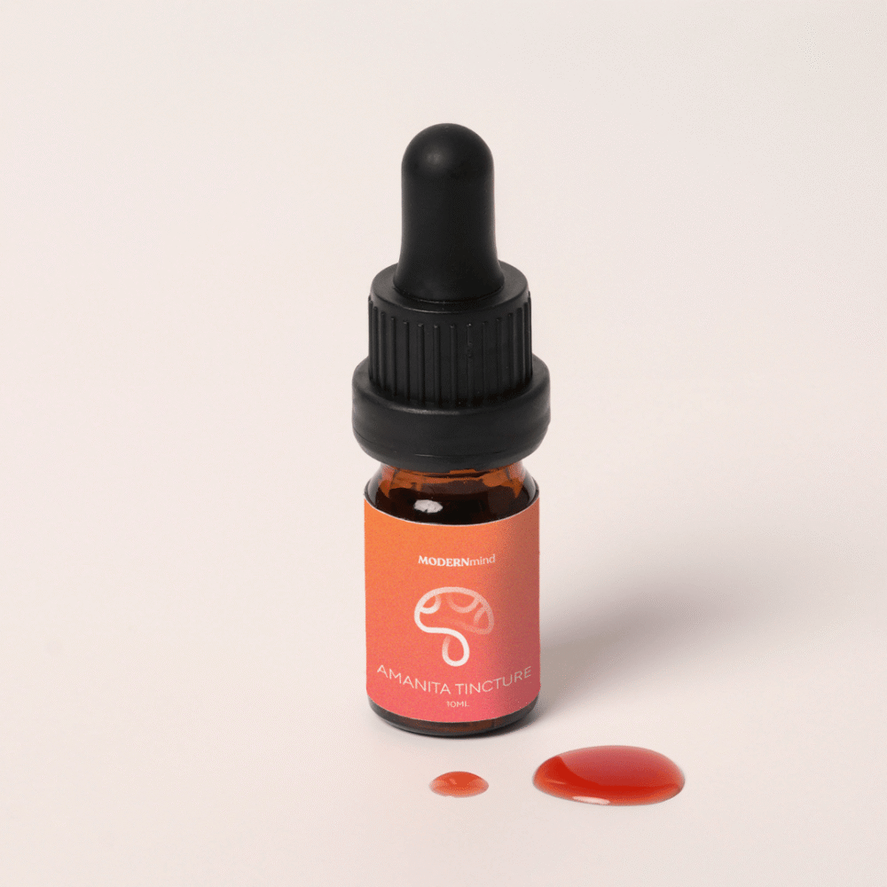 Fliegenpilz Microdosing Tinktur - MODERNmind