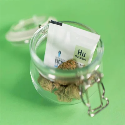 Integra Boost Terpene Humulene Hu 62% 4g - Hanfjack