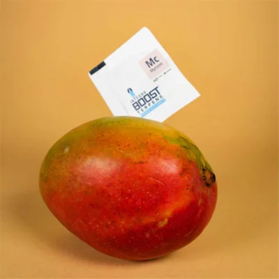 Integra Boost Terpene Myrcene Mc 62% 4g - Hanfjack