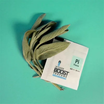Integra Boost Terpene Pinene Pi 62% 4g - Hanfjack