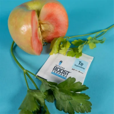 Integra Boost Terpene Terpinolene Te 62% 4g - Hanfjack
