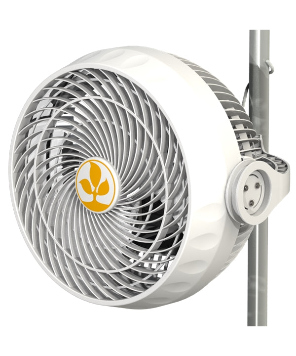 Secret Jardin Monkey Fan 30 W - Bushdoctor