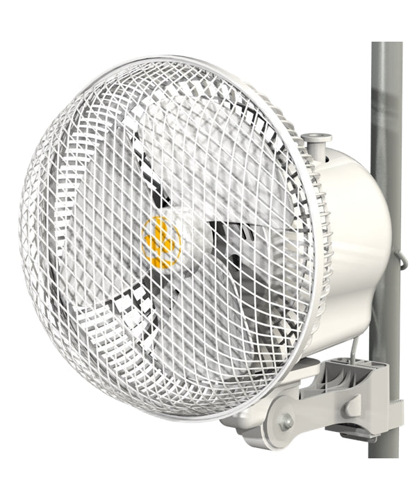 Secret Jardin Monkey Fan Oszillierend 20 W - Bushdoctor