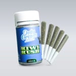 Superior Pre-Rolls 40% Kiwi Kush 2