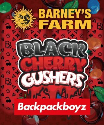 Black Cherry Gushers Feminisiert-3 Samen - Seeds24