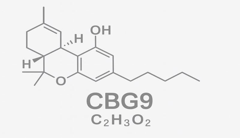 CBG9 Ratgeber