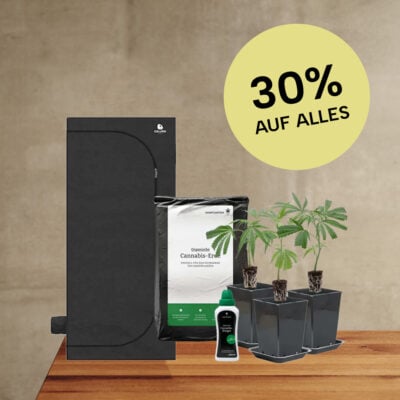 Indoor-Anbau Rundum Sorglos Paket für unter 300 €
