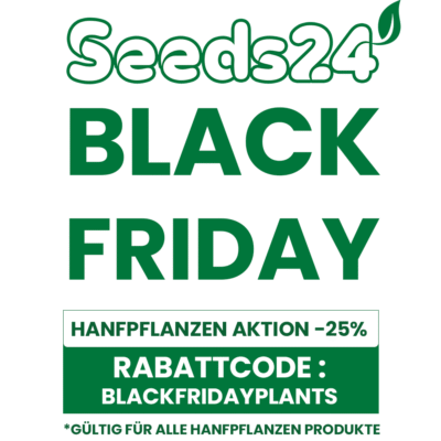 25% auf alle THC-Hanfpflanzen