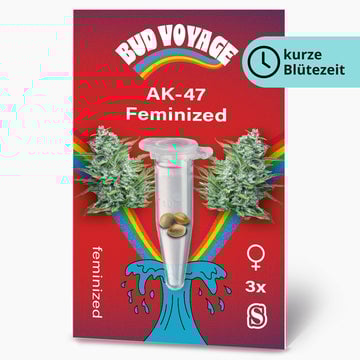 AK-47 Fem Hanfsamen von BudVoyage (starkes high