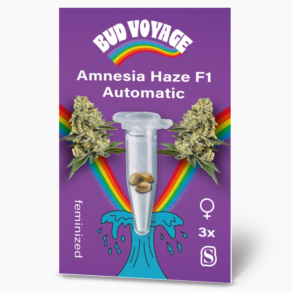 Amnesia Haze F1 Auto Hanfsamen von BudVoyage (Klassiker