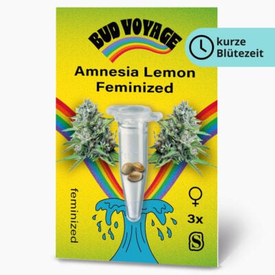 Amnesia Lemon Fem Hanfsamen von BudVoyage (entspannend