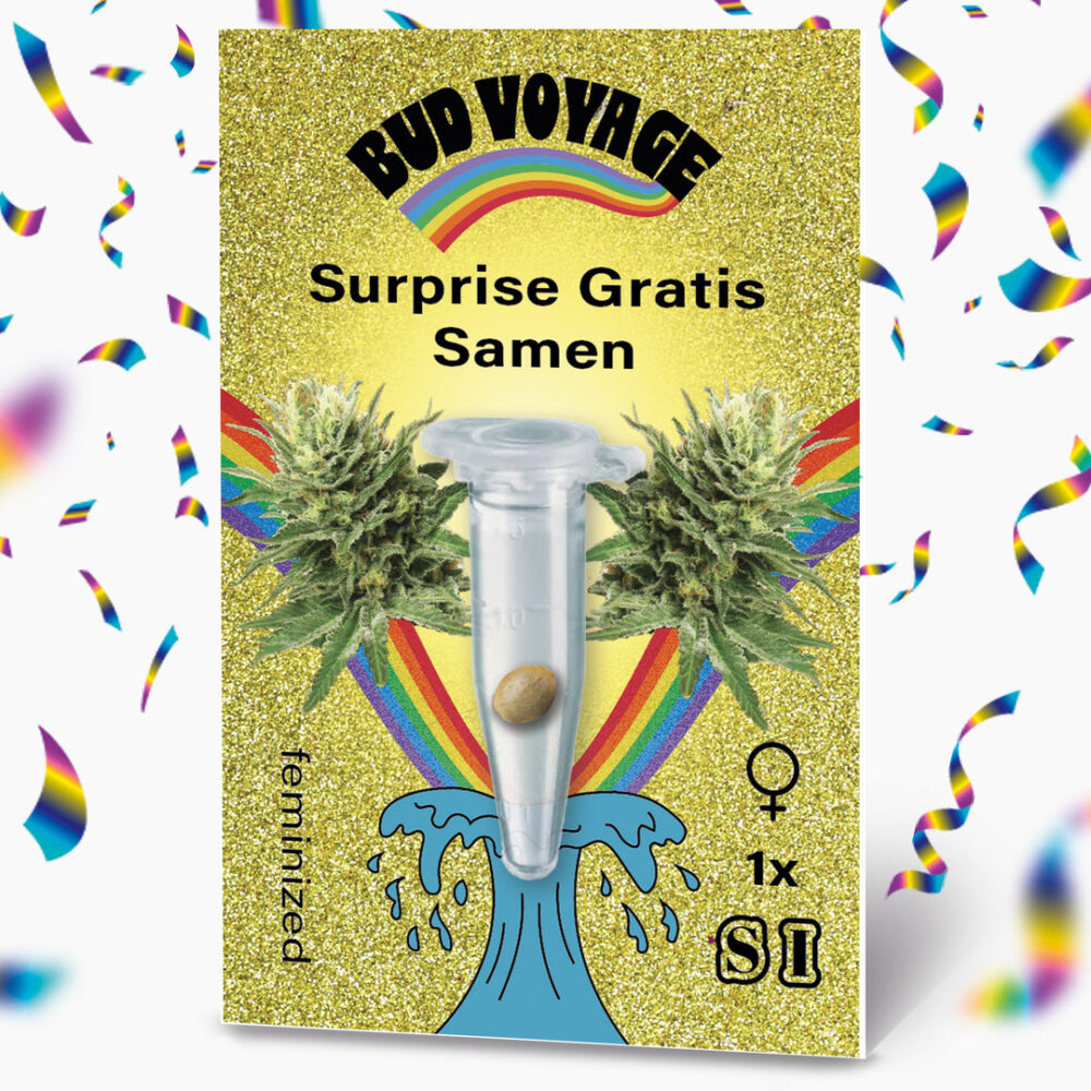 Bud Voyage Surprise Seeds - Gratis Samen! - HANS Brainfood