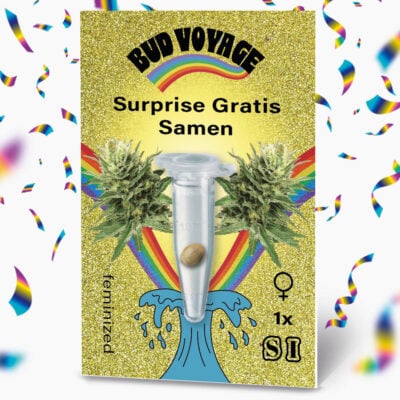 Bud Voyage Surprise Seeds - Gratis Samen! - HANS Brainfood