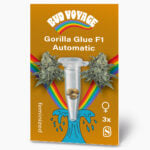 Gorilla Glue F1 Auto Hanfsamen von BudVoyage (gesellig, euphorisch, würzig)