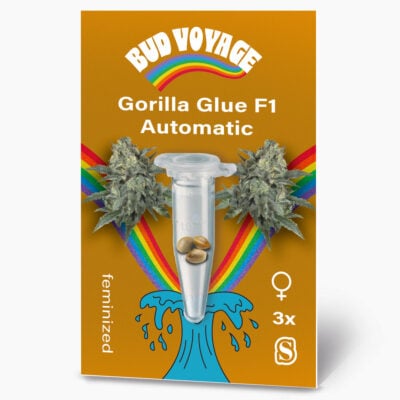 Gorilla Glue F1 Auto Hanfsamen von BudVoyage (gesellig