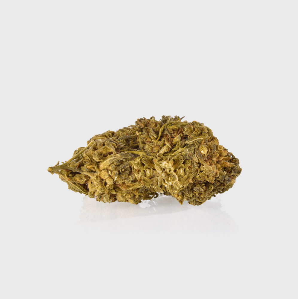 Guerillas Gusto - Happy420