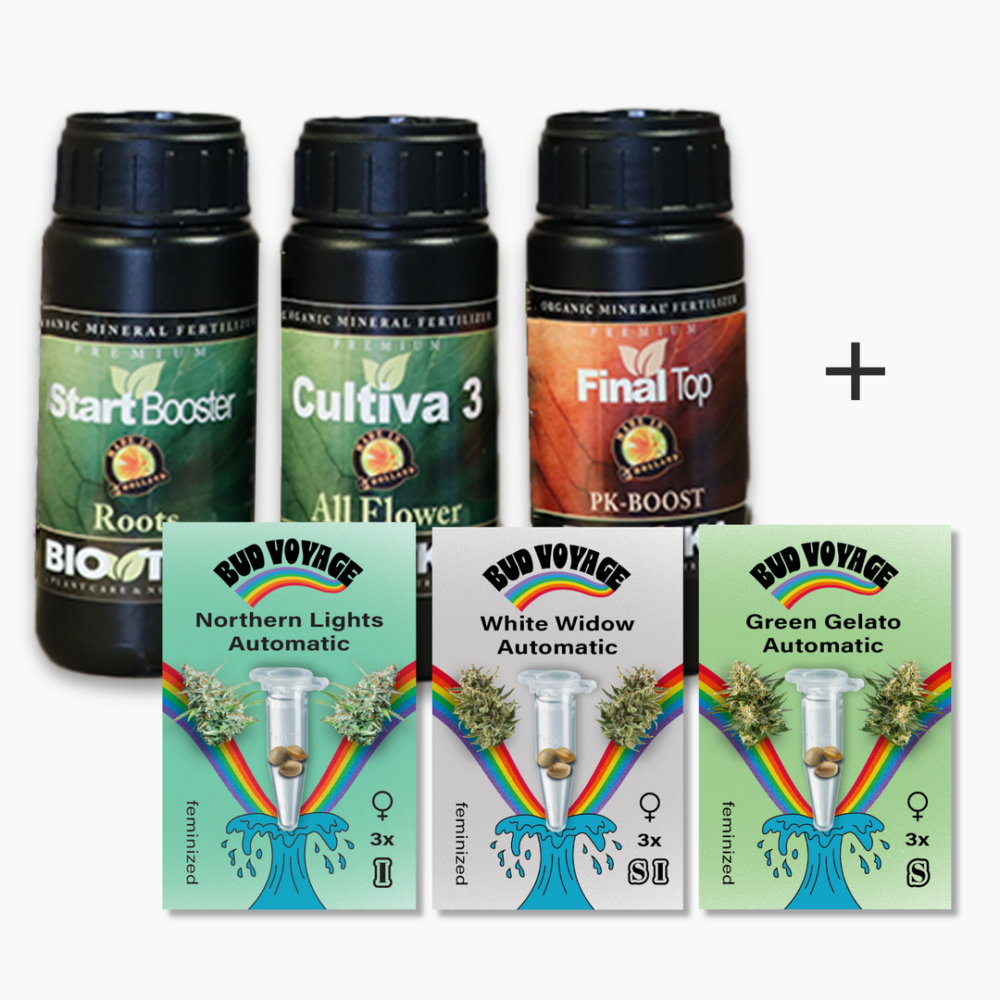 Hanfsamen Beginner Bundle | Samen + Dünger - HANS Brainfood