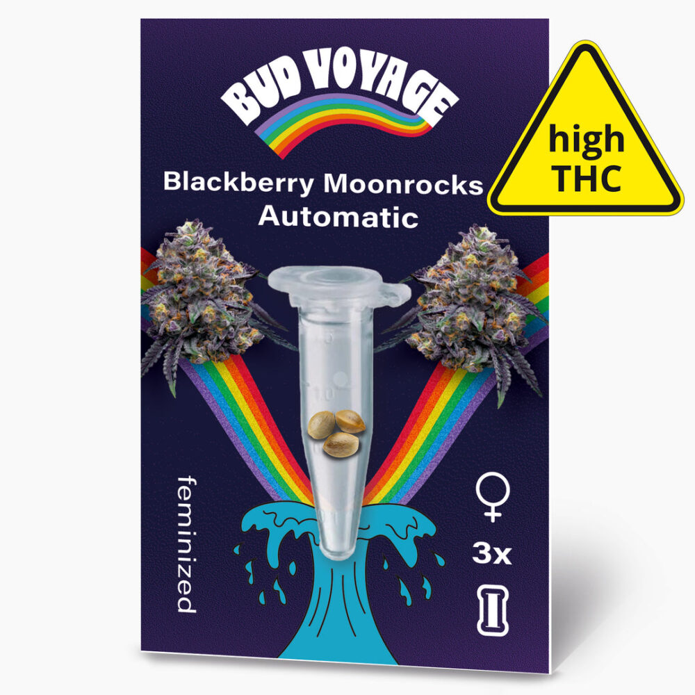 Hanfsamen BudVoyage Blackberry Moonrocks AUTO (Happy