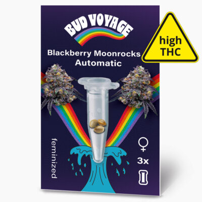 Hanfsamen BudVoyage Blackberry Moonrocks AUTO (Happy